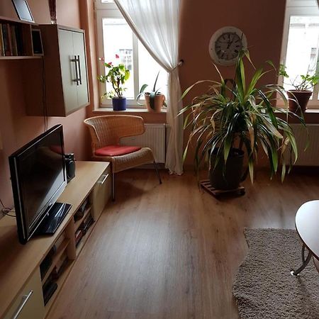 Kleine Gemuetliche Ferienwohnung Dresda Esterno foto
