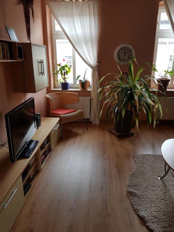 Kleine Gemuetliche Ferienwohnung Dresda Esterno foto