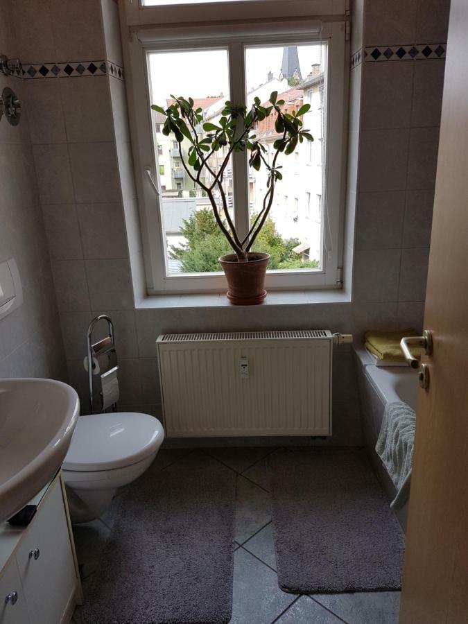 Kleine Gemuetliche Ferienwohnung Dresda Esterno foto