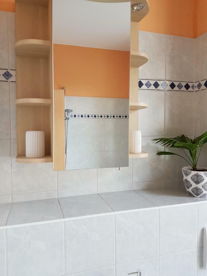 Kleine Gemuetliche Ferienwohnung Dresda Esterno foto